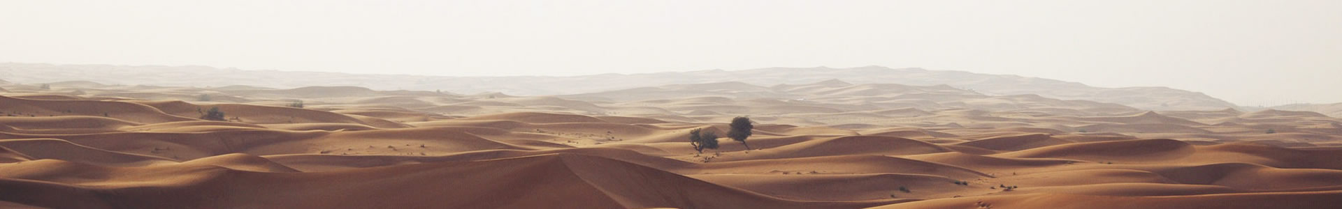 Ƴ涯Ƽ޹˾